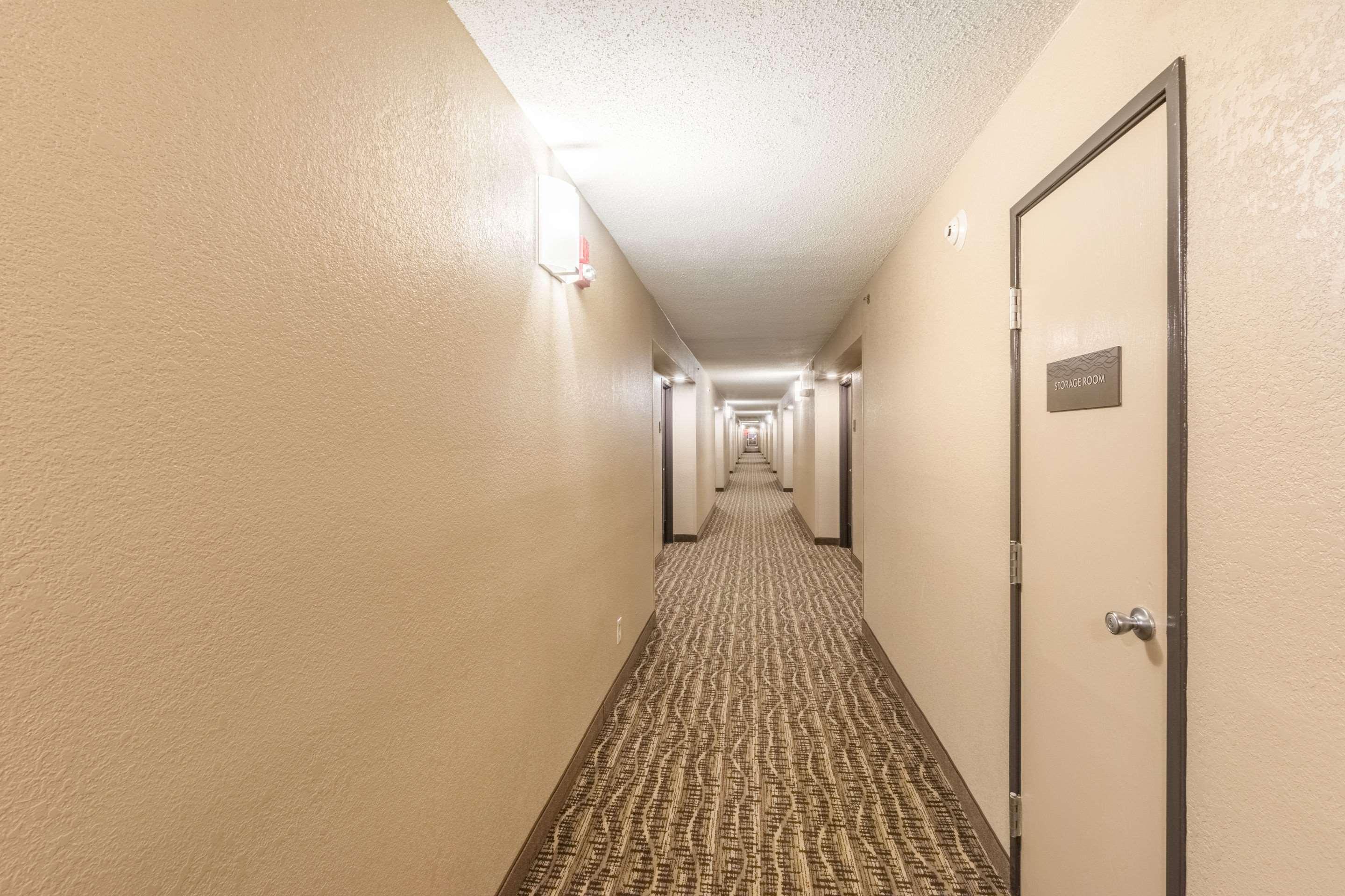 Comfort Inn Charlotte Airport Uptown מראה חיצוני תמונה